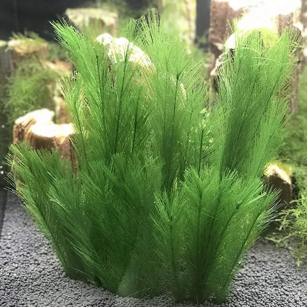 Live Plant Aquarium - 1/3 sztuk 28/40cm akwarium akwarium sztuczna