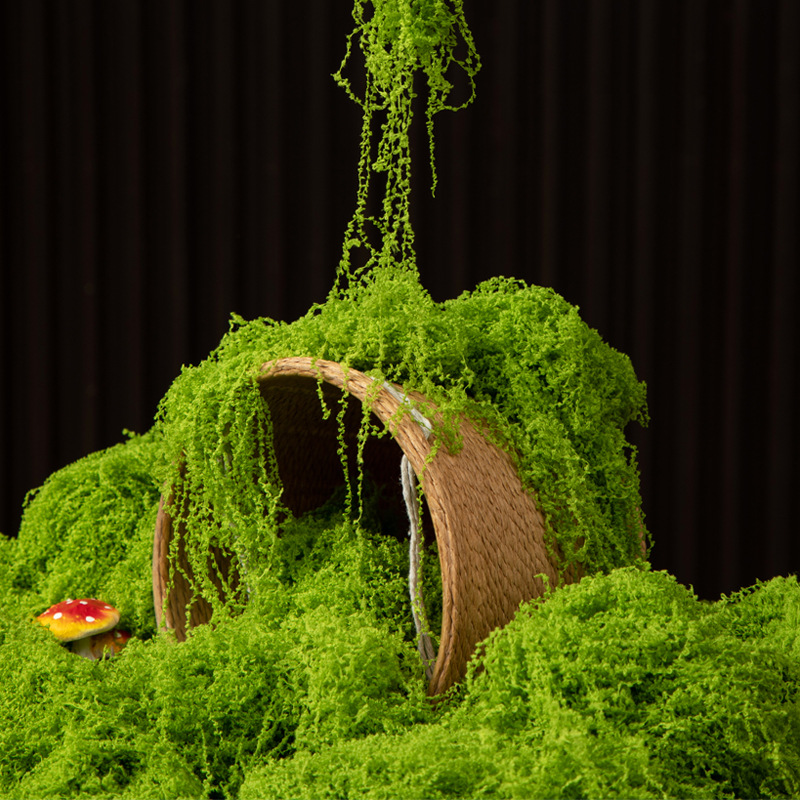 Aquarium Moss - 200g Mech Wiecznego Życia DIY Rękodzieło