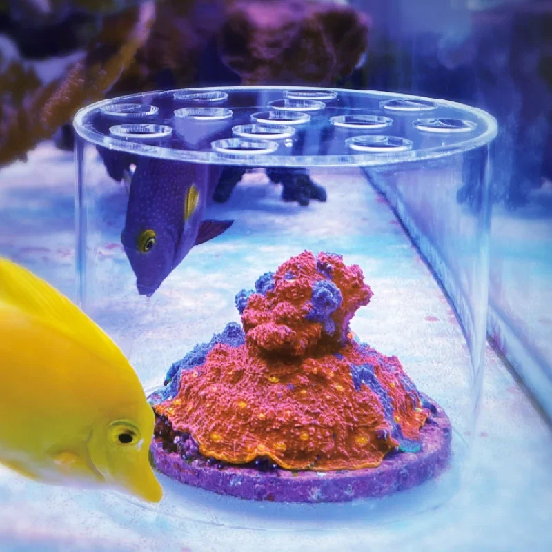 Aquarium Fertilizer - Vastocean Akrylowa Osłona do Karmienia Koralów,