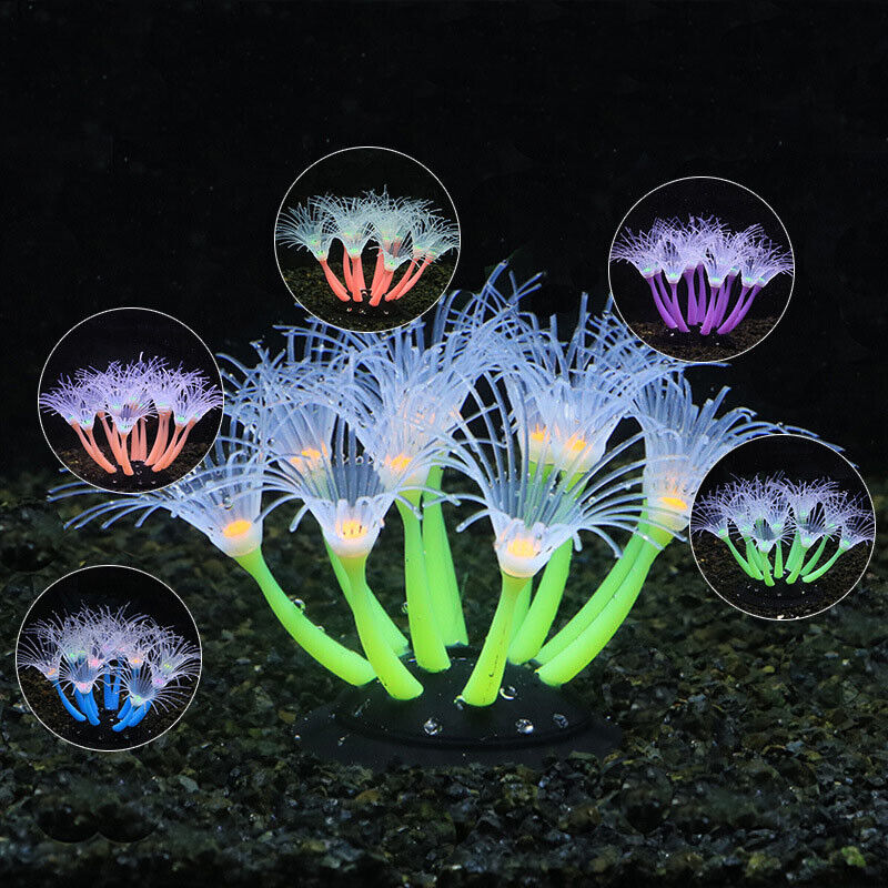 Silikonowe świecące dekoracje  – Live Plant Aquarium recenzja i cena
