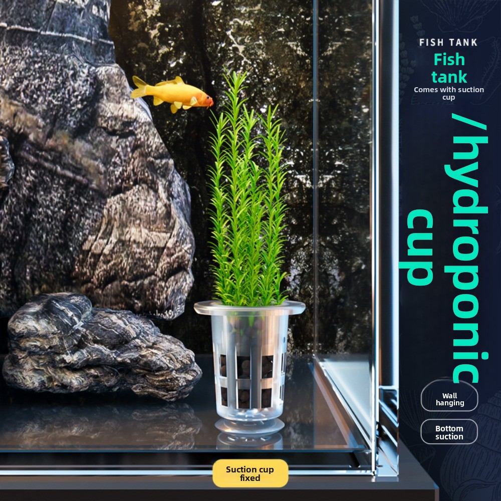 10 szt. Przezroczyste doniczki – Plant Aquarium Pot recenzja i cena