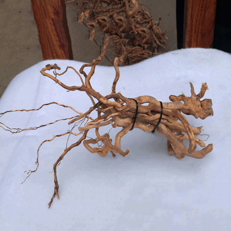Naturalny korzeń drzewa z drew – Aquarium Driftwood recenzja i cena