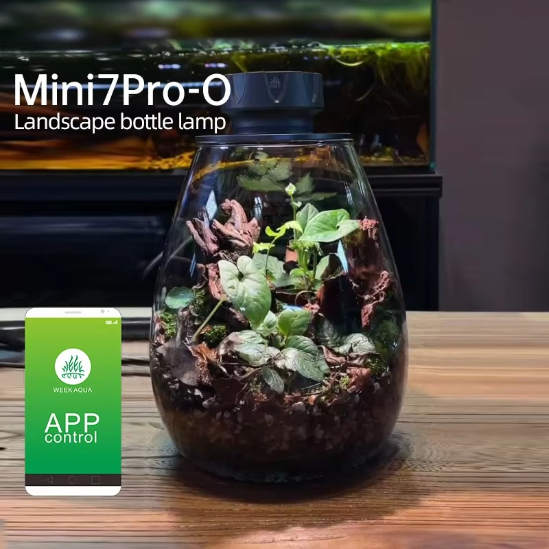 Światło do mikrokrajobrazu COB – Planted Tank recenzja i cena