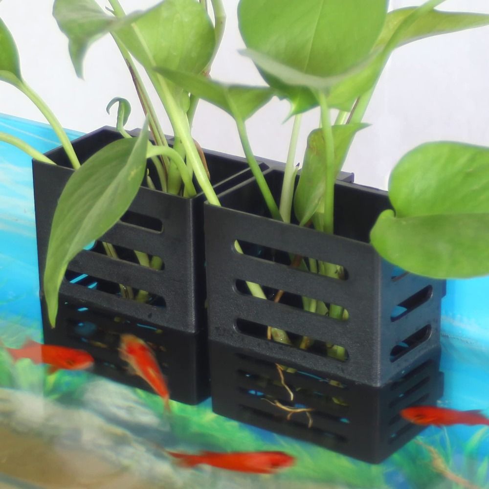 Uchwyt na rośliny akwariowe z  – Aquarium Plant Holder recenzja i cena