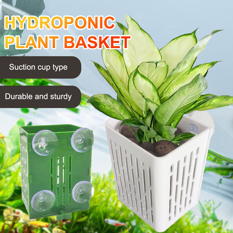 Wisząca przyssawka Hak Uchwyt  – Plant Aquarium Pot recenzja i cena
