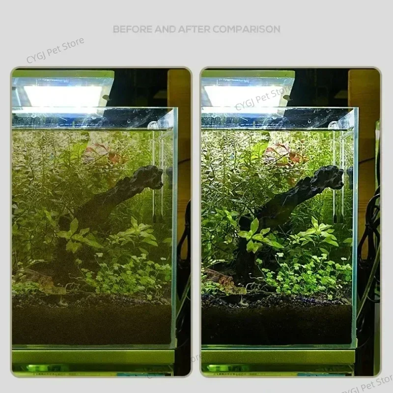 Narzędzie do czyszczenia akwar – Planted Aquarium Cleaning recenzja i cena