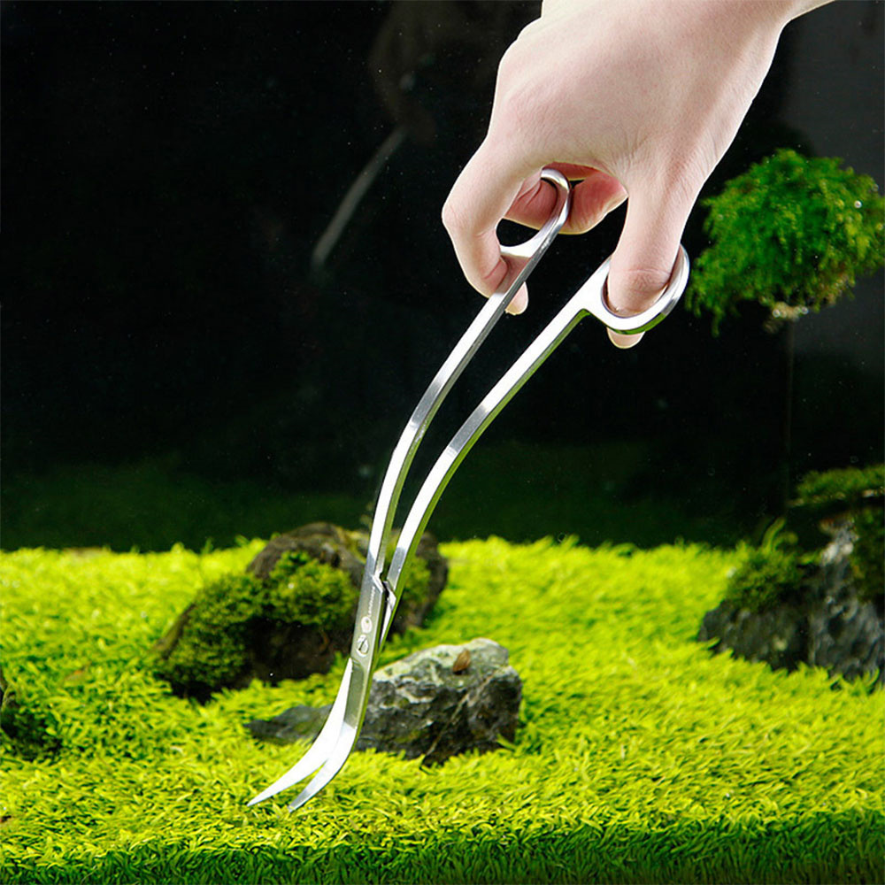 Akcesoria do akwarium Twarde n – Planted Aquarium Cleaning recenzja i cena