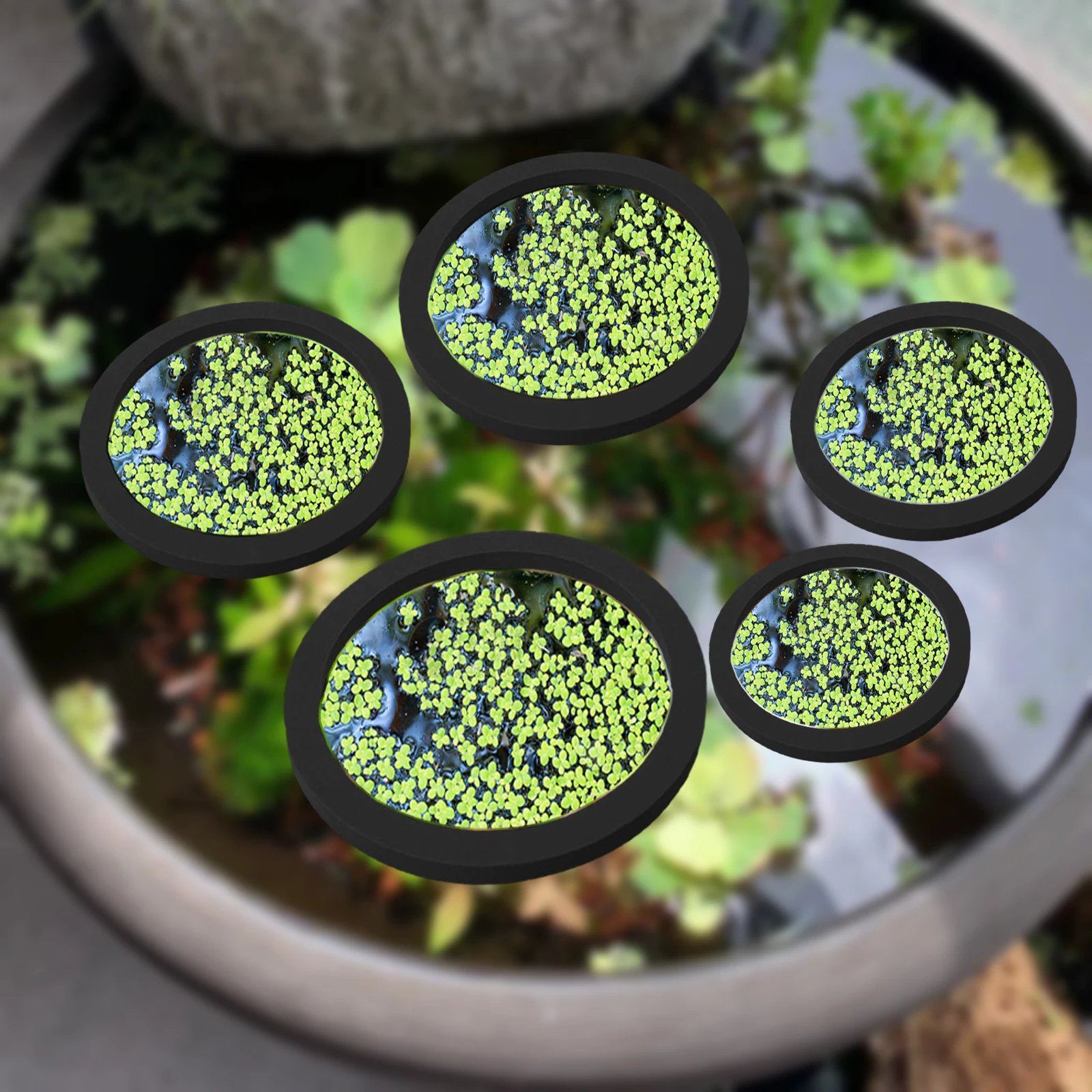 5Pcs EVA Pierścień do karmieni – Planted Tank recenzja i cena