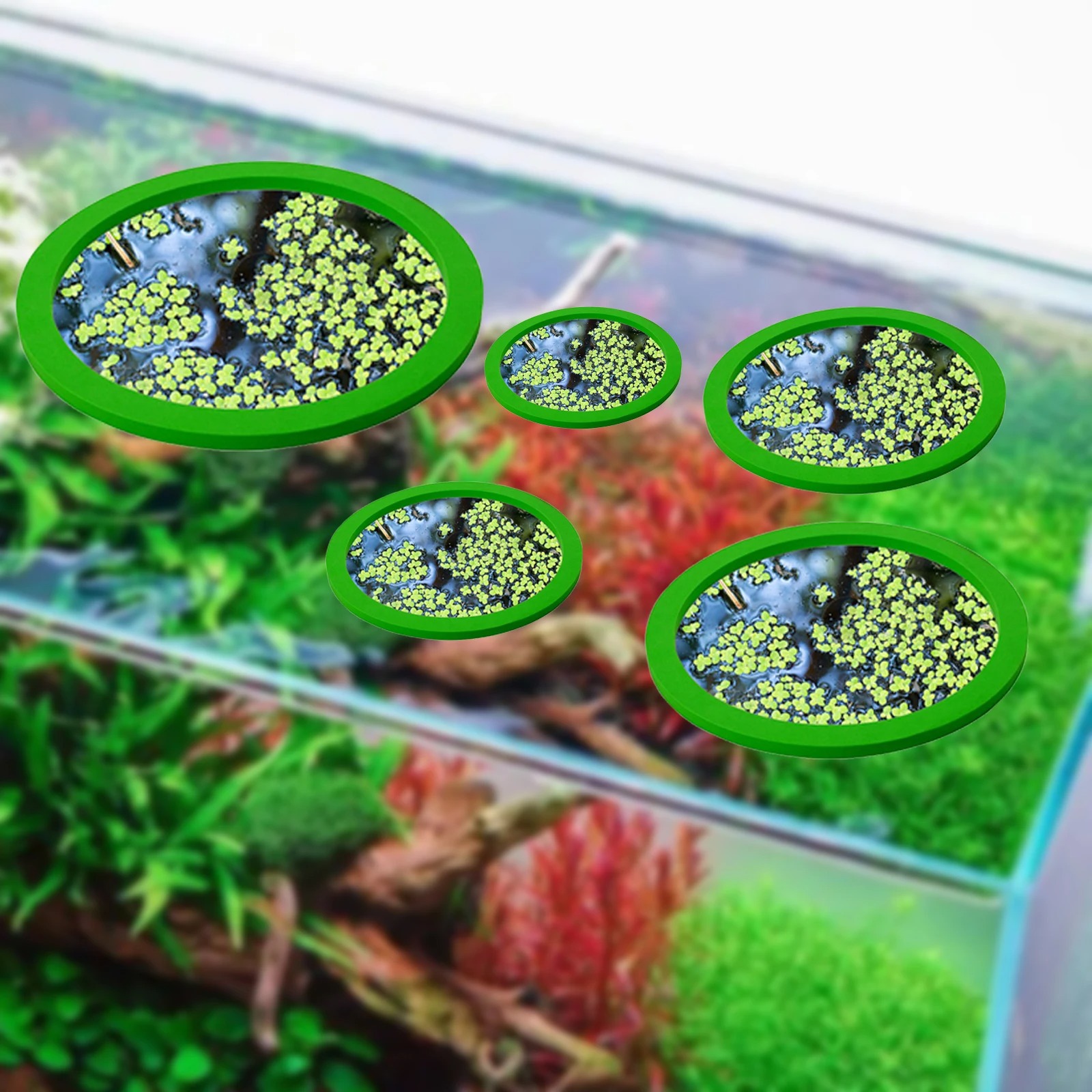 5Pcs EVA Pierścień do karmieni – Planted Tank recenzja i cena
