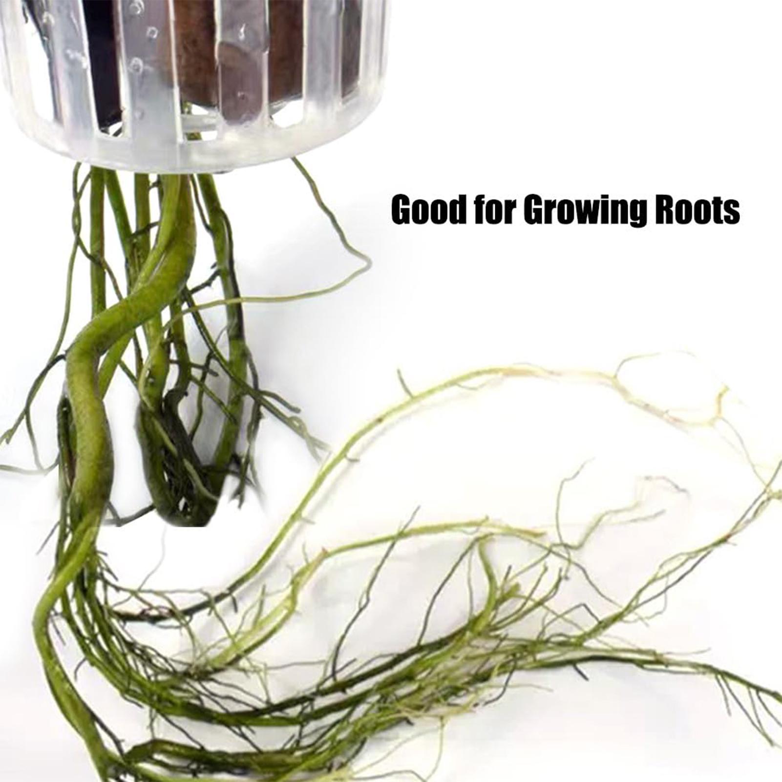 2 sztuki – uchwyty do roślin w – Plant Aquarium Pot recenzja i cena