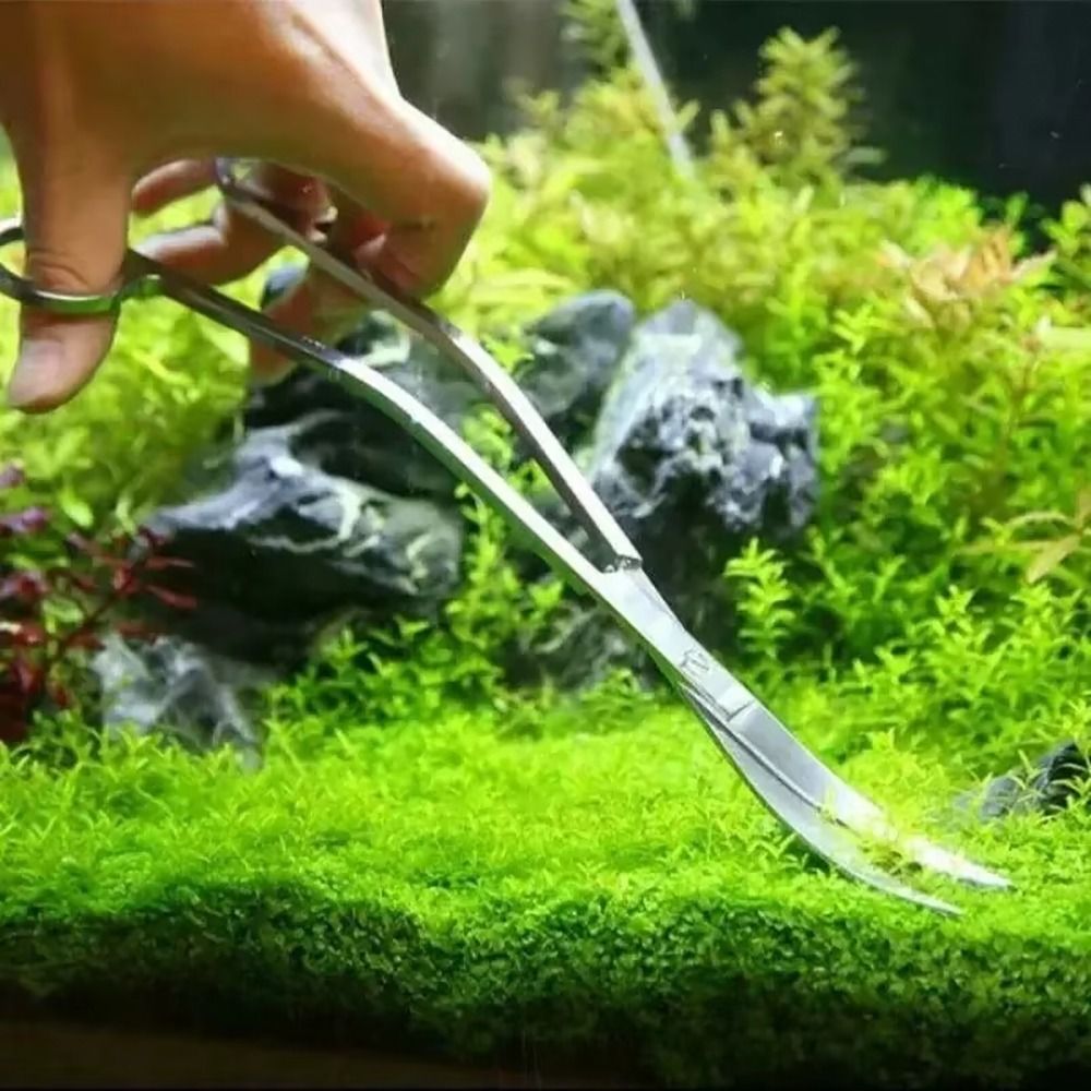 1 szt. Nożyczki do akwarium ze – Planted Aquarium Cleaning recenzja i cena