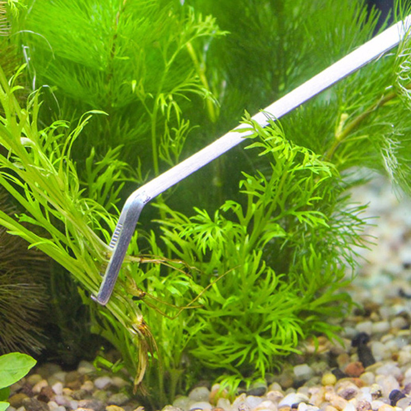 Profesjonalny zestaw narzędzi  – Live Plant Aquarium recenzja i cena