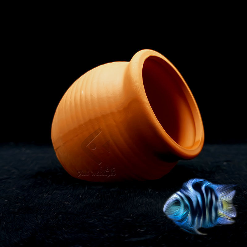 Akwarium Mini Ceramiczny Zbior – Aquarium Driftwood recenzja i cena