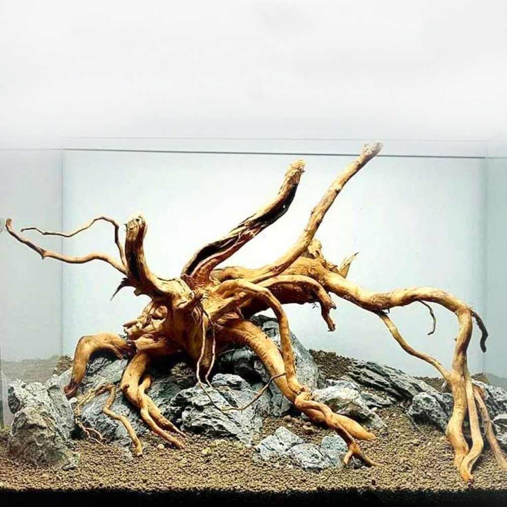 Drewno do akwarium 20-25 cm, n – Aquarium Driftwood recenzja i cena