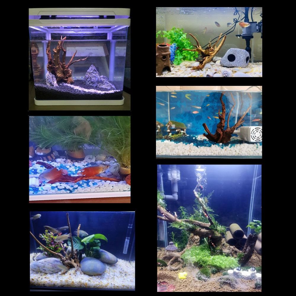 Drewno do akwarium 20-25 cm, n – Aquarium Driftwood recenzja i cena