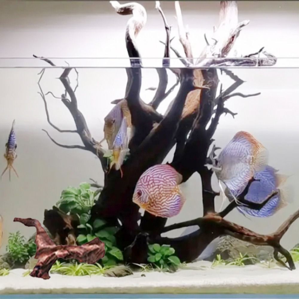 Kreatywne, nieregularne kształ – Aquarium Driftwood recenzja i cena