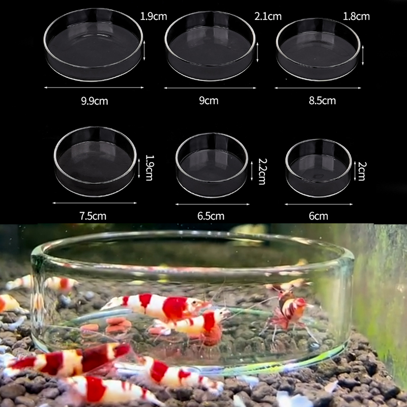 Miseczka do karmienia krewetek – Aquarium Fertilizer recenzja i cena