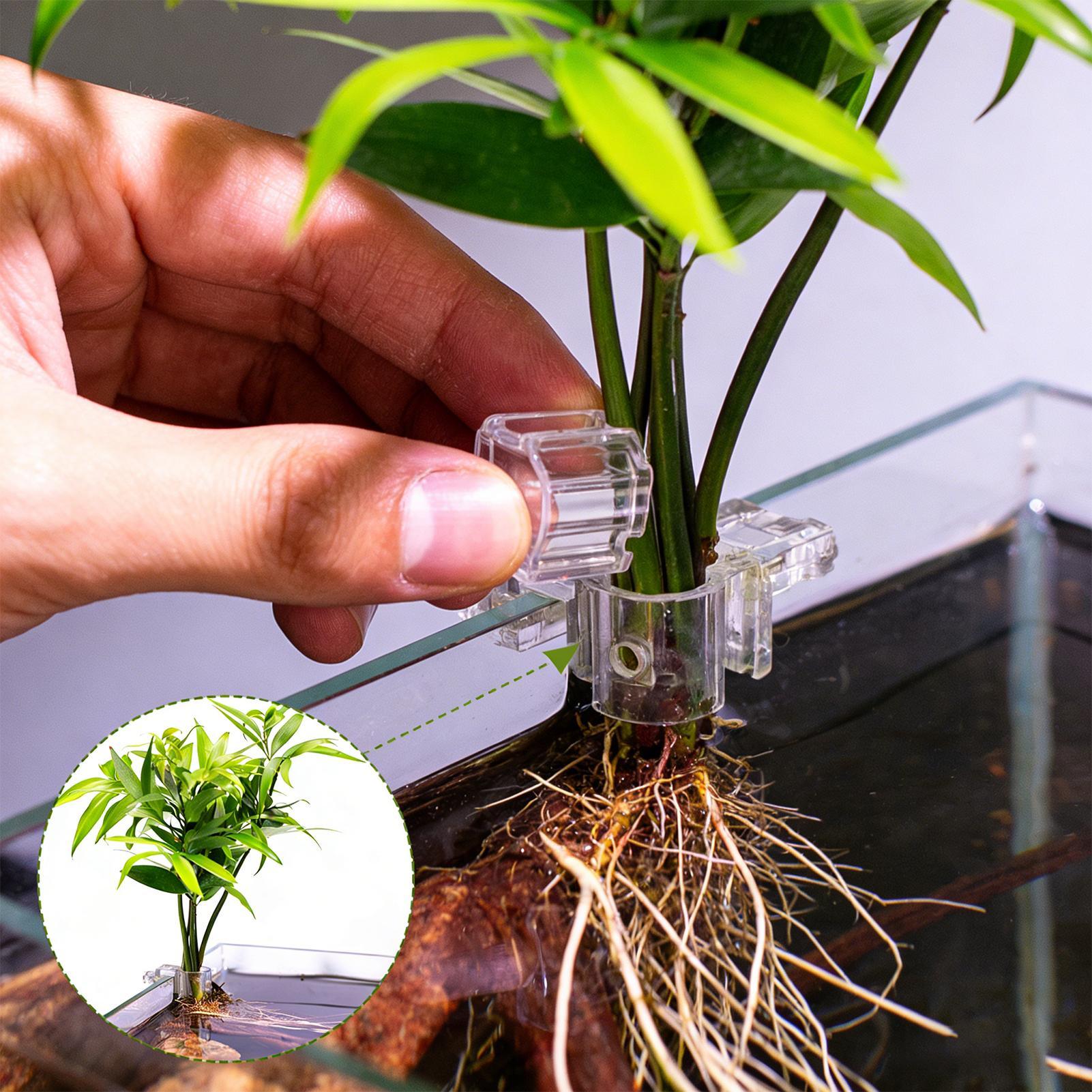 6 szt. Przezroczyste uchwyty d – Aquarium Plants Live recenzja i cena