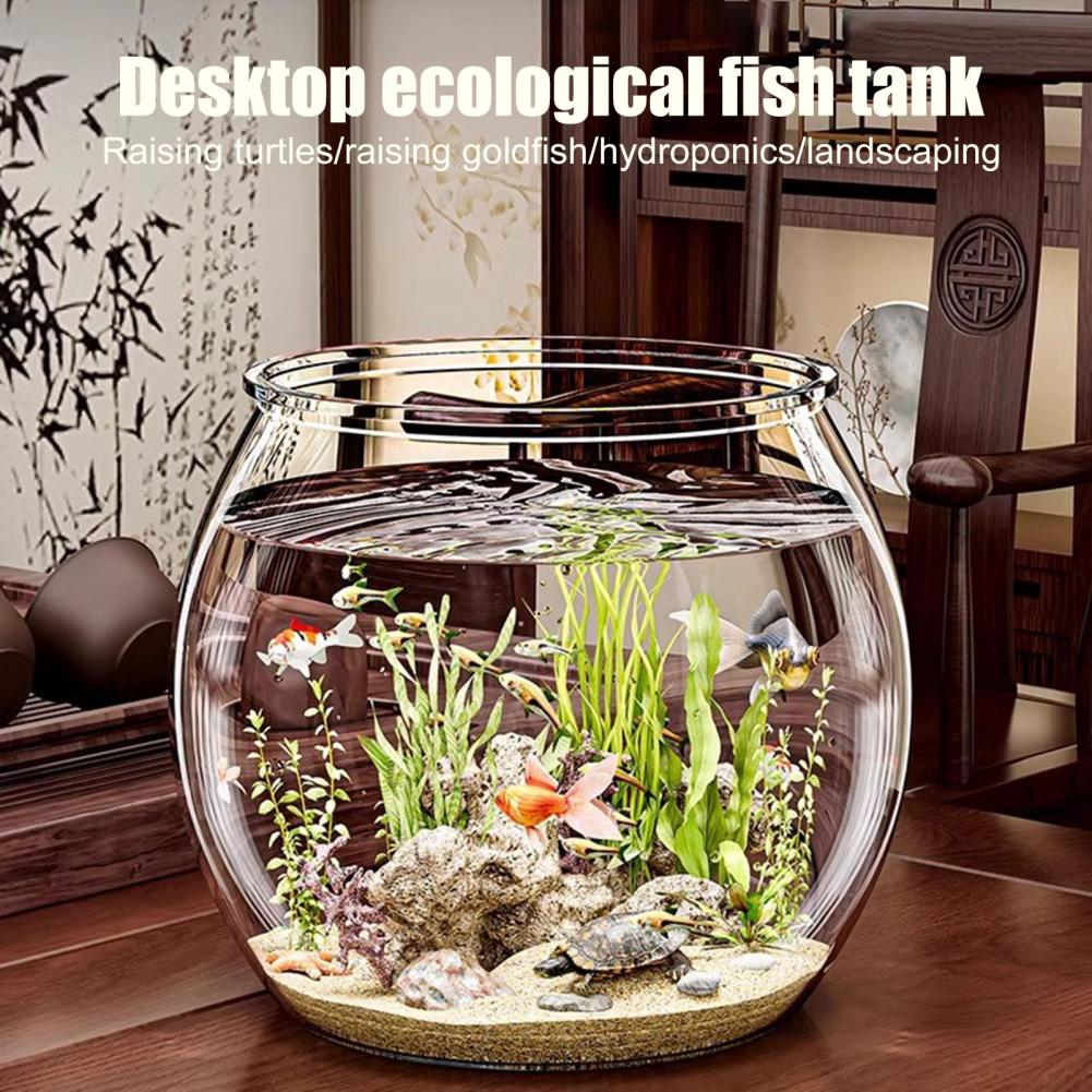 Okrągła, przezroczysta plastik – Plant Aquarium Pot recenzja i cena