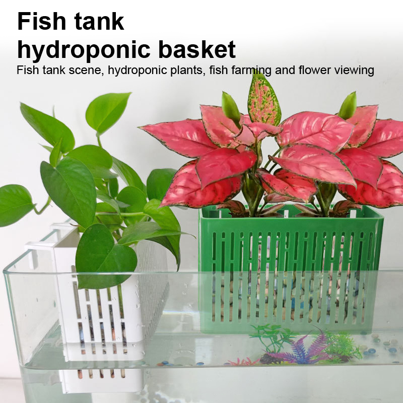 【F】Wiszący pojemnik do akwariu – Aquarium Plant Substrate recenzja i cena