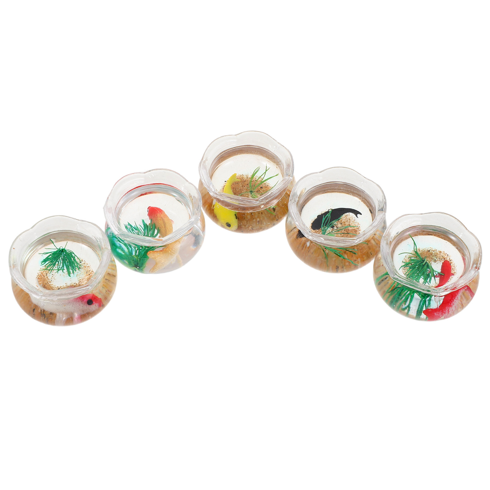 5 sztuk miniaturowych akwariów – Planted Tank recenzja i cena