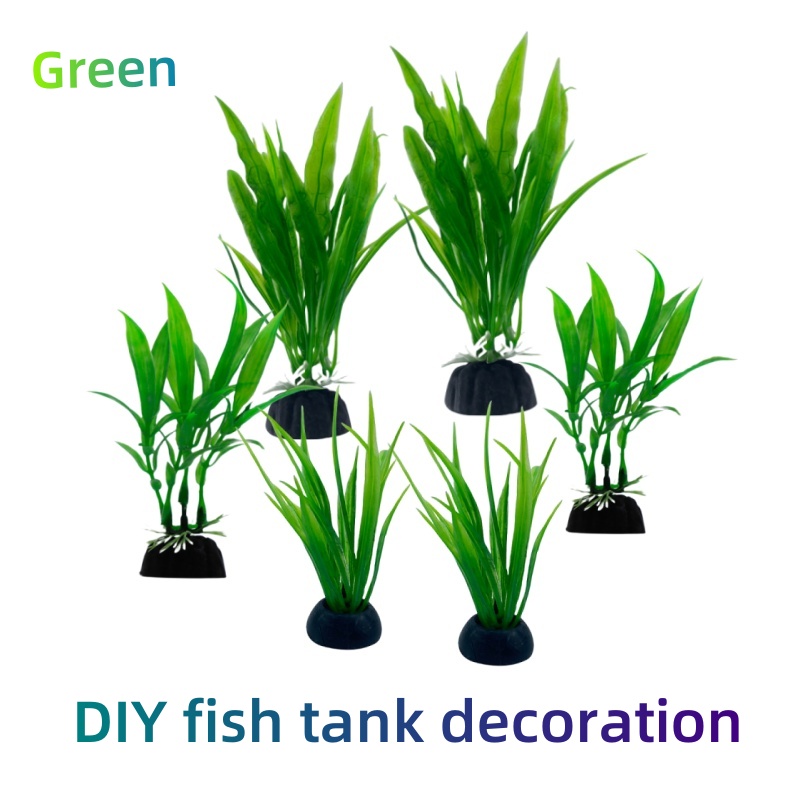 6 sztuk w opakowaniu – rośliny – Live Plant Aquarium recenzja i cena