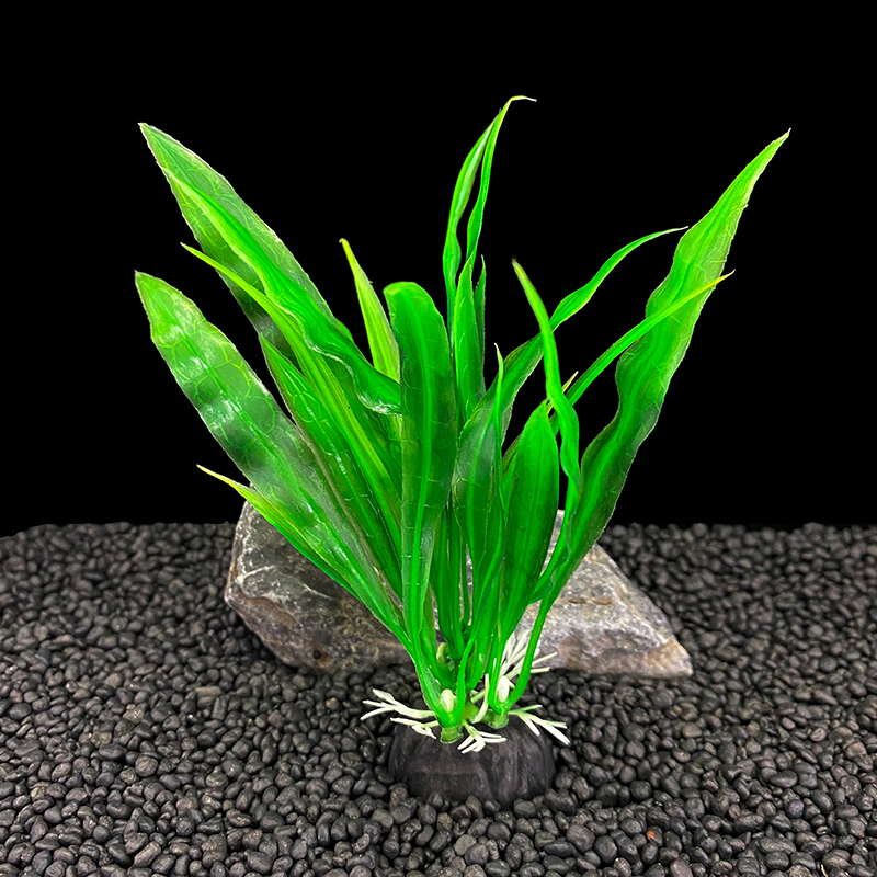 6 sztuk w opakowaniu – rośliny – Live Plant Aquarium recenzja i cena