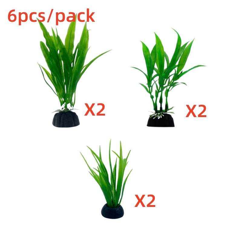 6 sztuk w opakowaniu – rośliny – Live Plant Aquarium recenzja i cena